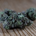 Buying Weed in Catania img-1161.jpg