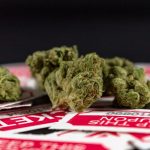 Looking to buy marijuana in Bialystok or explore the growing Bialystok cannabis market? img-1172.jpg