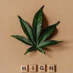 Buy Pot Online Bochum: Your Complete Guide to Legal Weed Shopping and Delivery img-1380.jpg