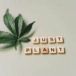 Looking to buy weed online Leuven or find a reliable Leuven cannabis store? img-1496.jpg
