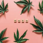 France’s cannabis scene is evolving rapidly, and now it’s easier than ever to purchase high‑quality cannabis, marijuana, weed, hemp, and THC‑rich products across the European Union img-1673.jpg
