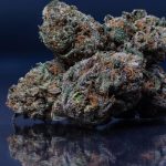 Nantes Cannabis Shop img-2227.jpg