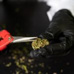 Edinburgh’s Vibrant Nightlife and Growing Cannabis Culture img-2347.jpg
