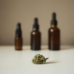 Cannabis Delivery Austria 2024: The Future of Weed Shopping img-2678.jpg