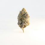 Leuven Cannabis Shop: Your Ultimate Guide to Cannabis in Leuven img-2718.jpg
