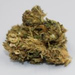Looking to purchase high‑quality THC products in Cardiff? img-2786.jpg