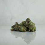 Nuremberg Cannabis Shop img-2888.jpg