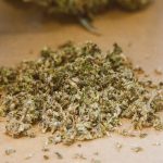 Nuremberg Cannabis Shop img-298.jpg