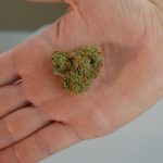 Buying THC‑Rich Cannabis in Luxembourg img-371.jpg