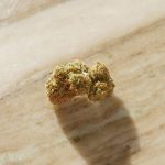 Madeira, the lush island of Portugal, is becoming a surprising hotspot for cannabis enthusiasts. img-402.jpg