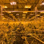 420 Store in Saint‑Tropez img-42.jpg