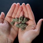 Marbella THC Vape Delivery Service img-651.jpg